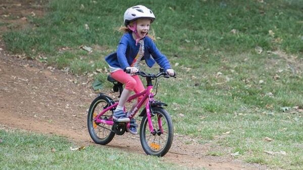 Frog 44 16″ Kids Bike – Pink - Image 2